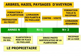 schéma présentant l'accompagnement à la plantation pour les petits projets de plantation de haie