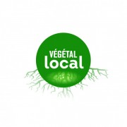 logo label vegetal_local