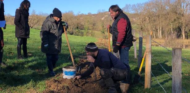 Démonstration de plantation
