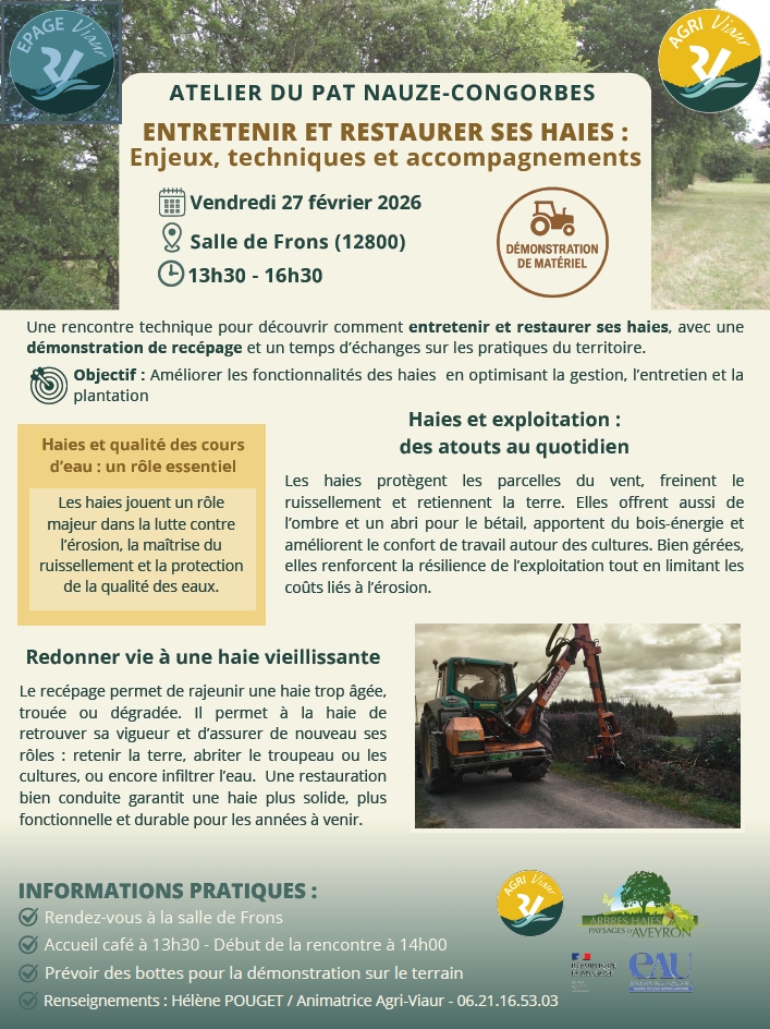 Démo de recépage 270226