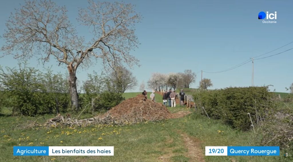 reportage France 3 (2)