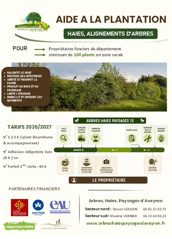 Flyer PP